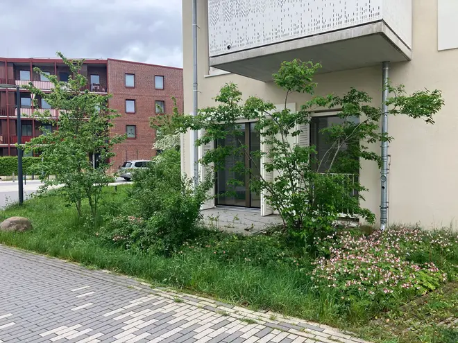 3 Zimmer Wohnung mit 79 m² in Hannover – Bild 3