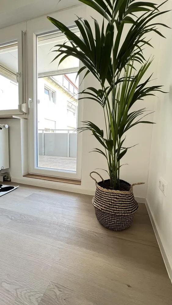 1 Zimmer Wohnung mit 37 m² in Stuttgart – Bild 7