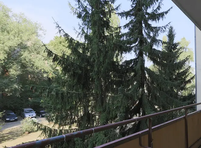 1 room apartment with 32 m² in Berlin – Photo 8