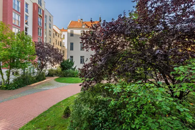 2 Zimmer Wohnung mit 50 m² in Berlin – Bild 12