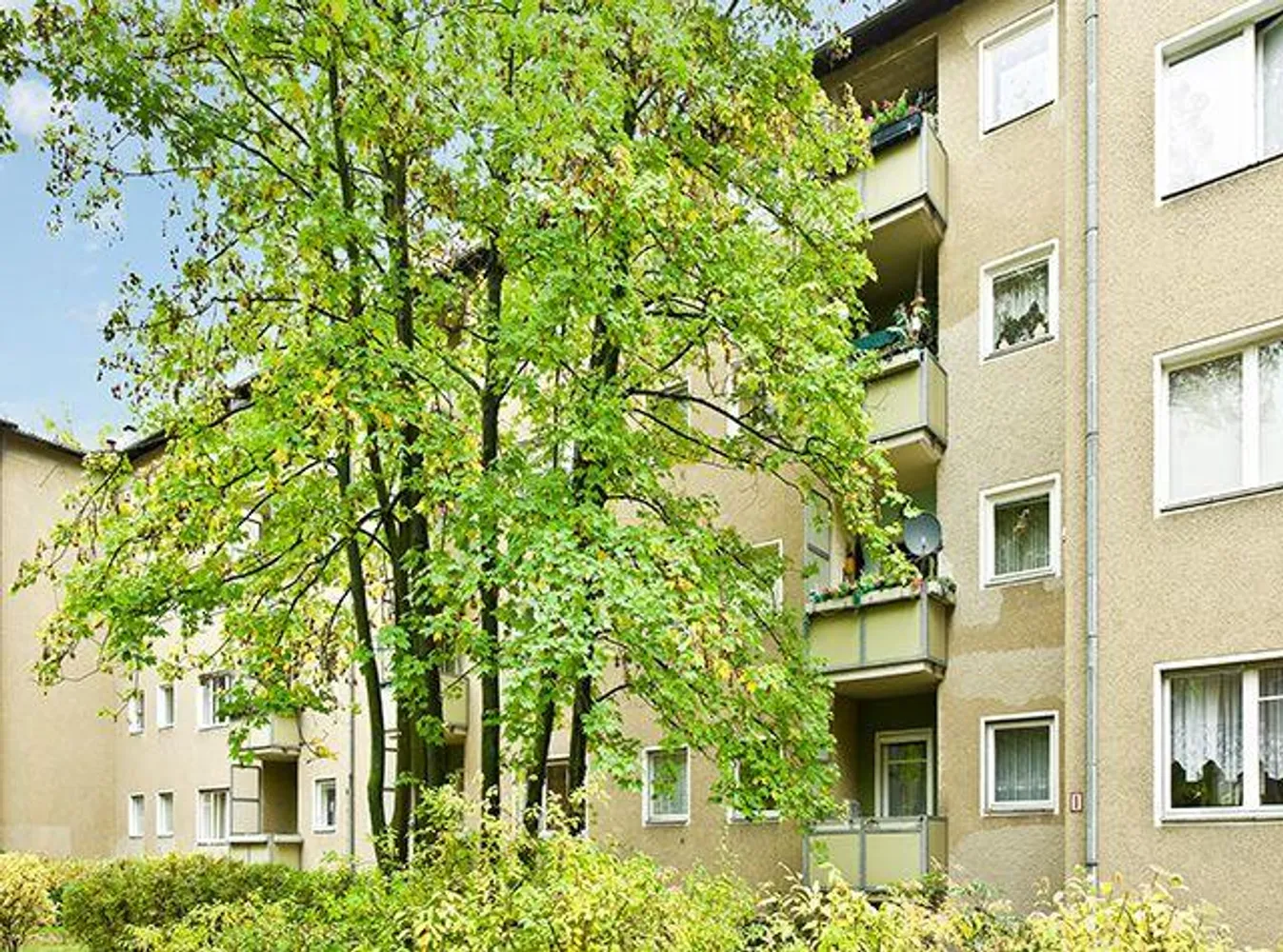1 Zimmer Wohnung mit 31 m² in Berlin – Bild 2