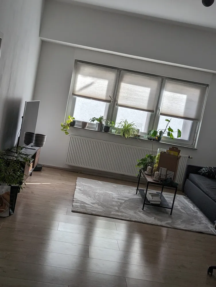 2 Zimmer Wohnung mit 68 m² in Karlsruhe – Bild 7