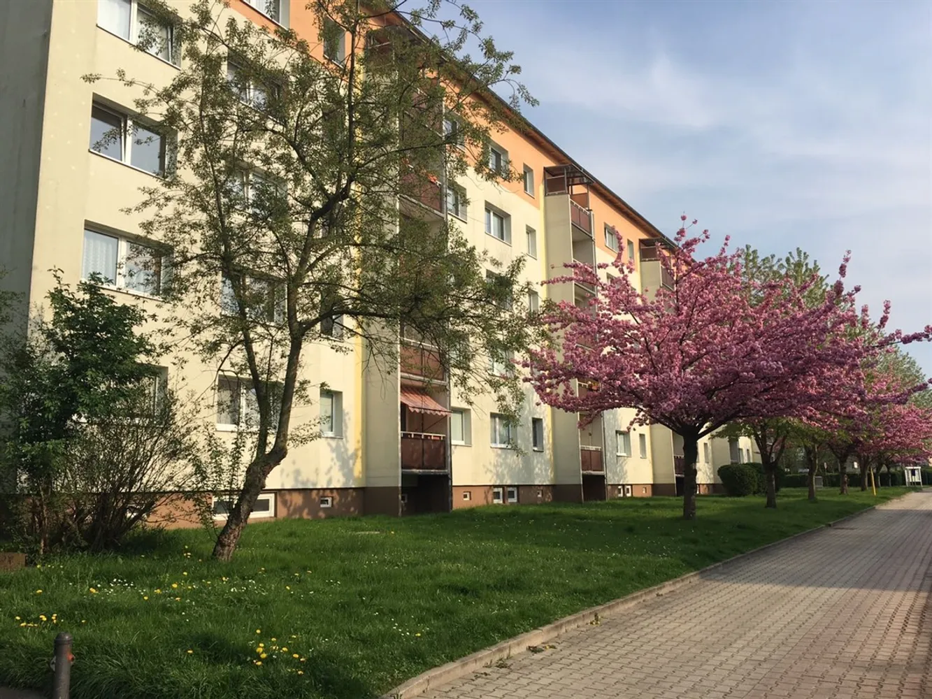 2 Zimmer Wohnung mit 47 m² in Borna – Bild 1