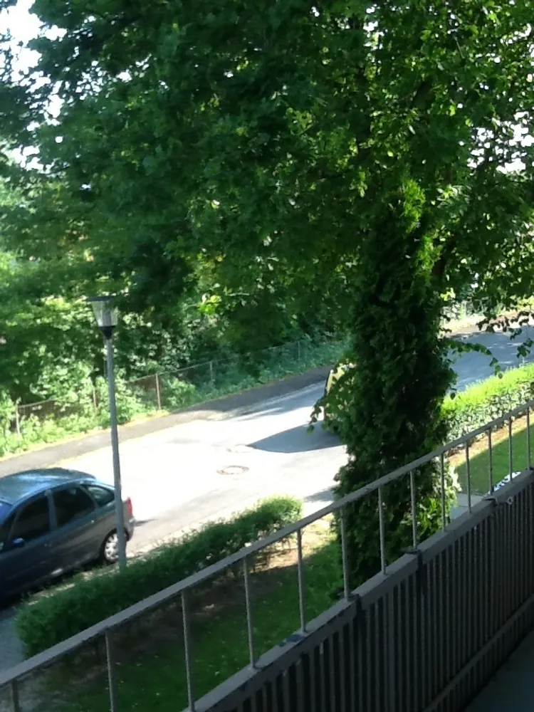 3 room apartment with 63 m² in Wolfenbüttel – Photo 2