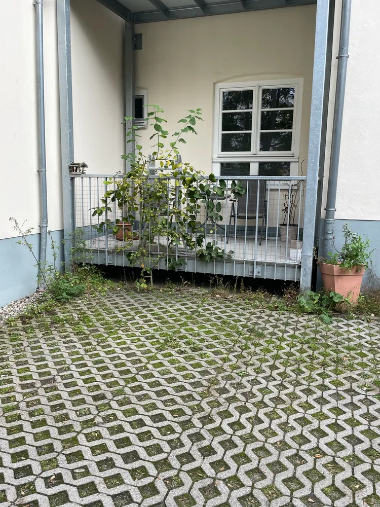 4 Zimmer Wohnung mit 128 m² in Stralsund – Bild 2