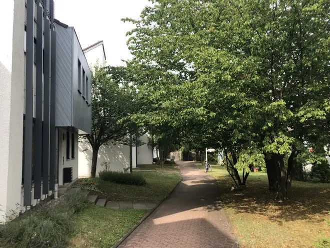 1 Zimmer Wohnung mit 35 m² in Mainz – Bild 2