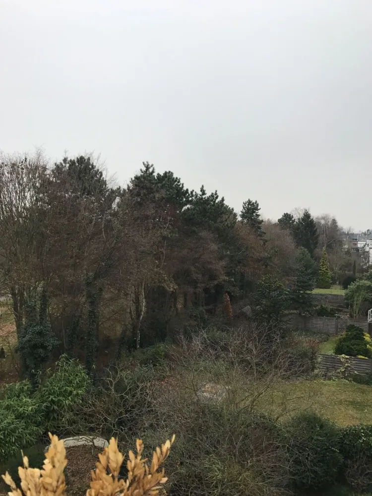 3 room apartment with 90 m² in Düsseldorf – Photo 6