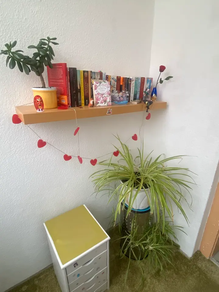 WG-Zimmer mit 18 m² in Delitzsch – Bild 6