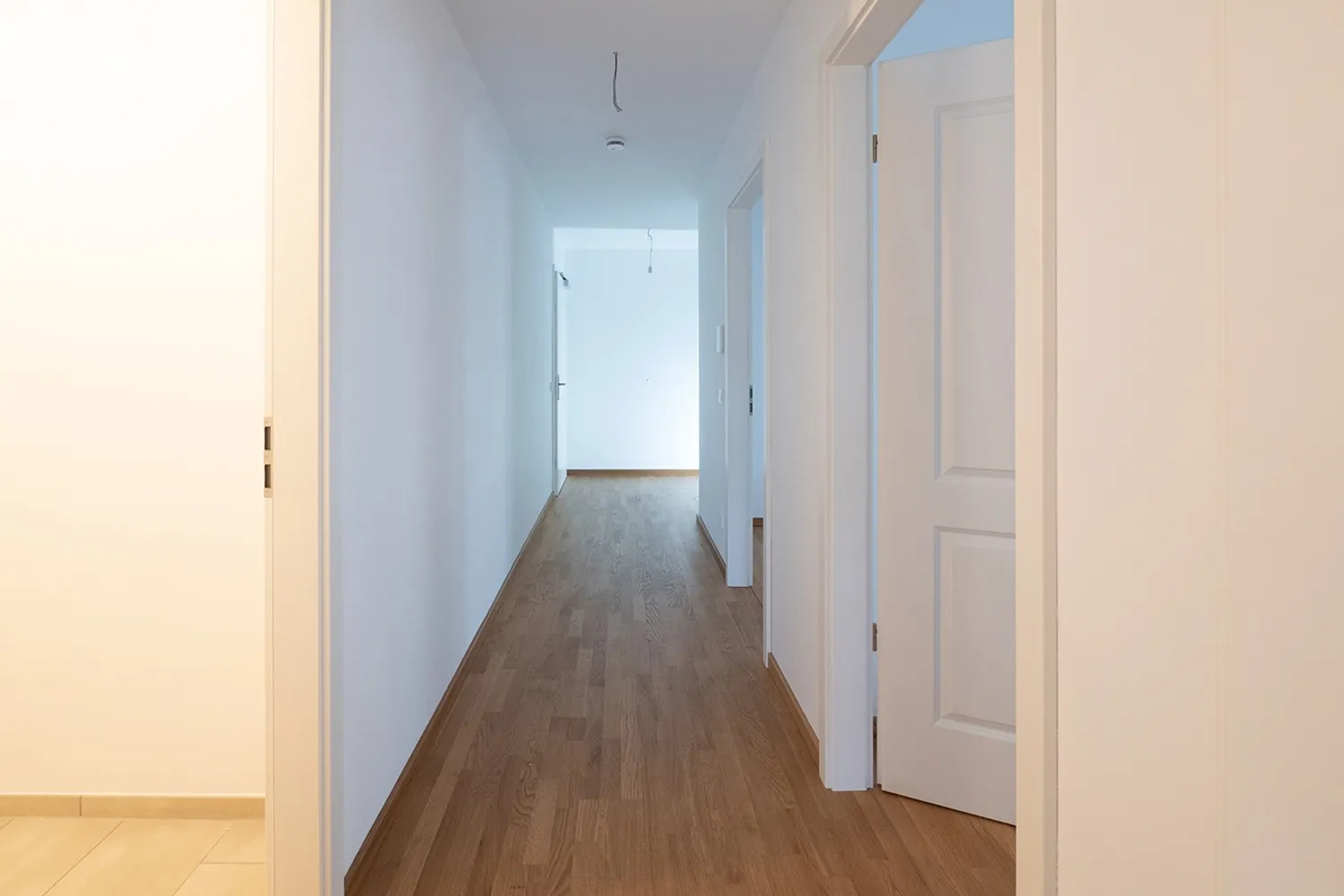 3 Zimmer Wohnung mit 82 m² in Dresden – Bild 5