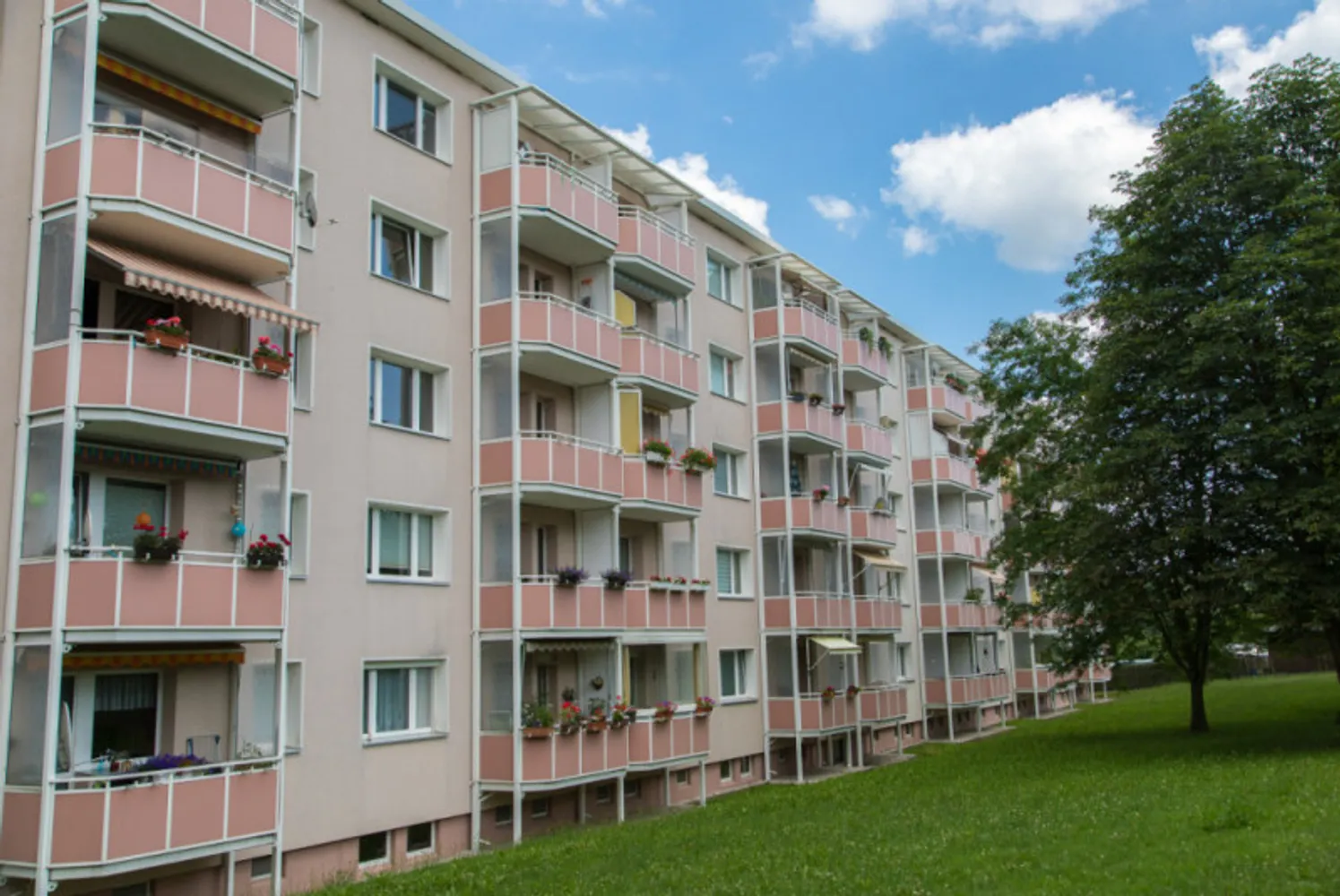 2 Zimmer Wohnung mit 47 m² in Freiberg – Bild 3