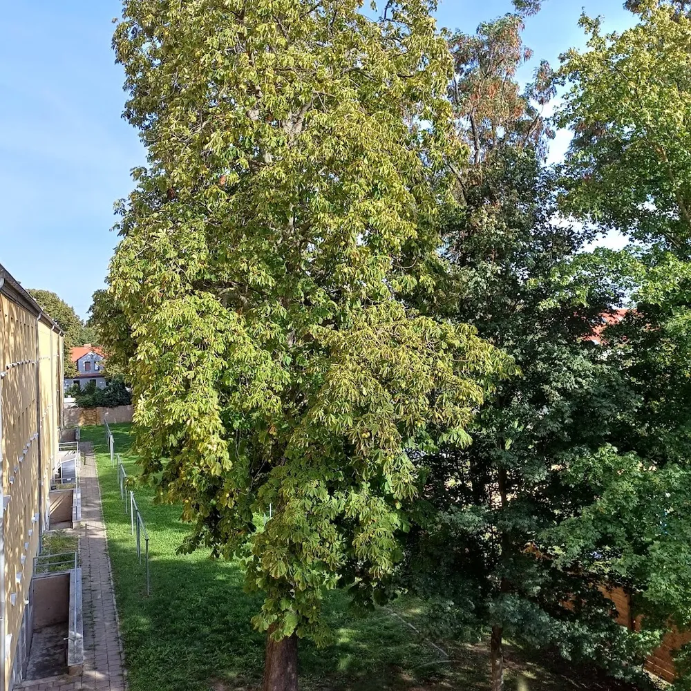 3 Zimmer Wohnung mit 77 m² in Merseburg – Bild 8
