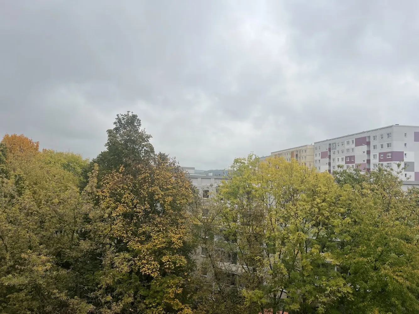 4 Zimmer Wohnung mit 81 m² in Gera – Bild 1