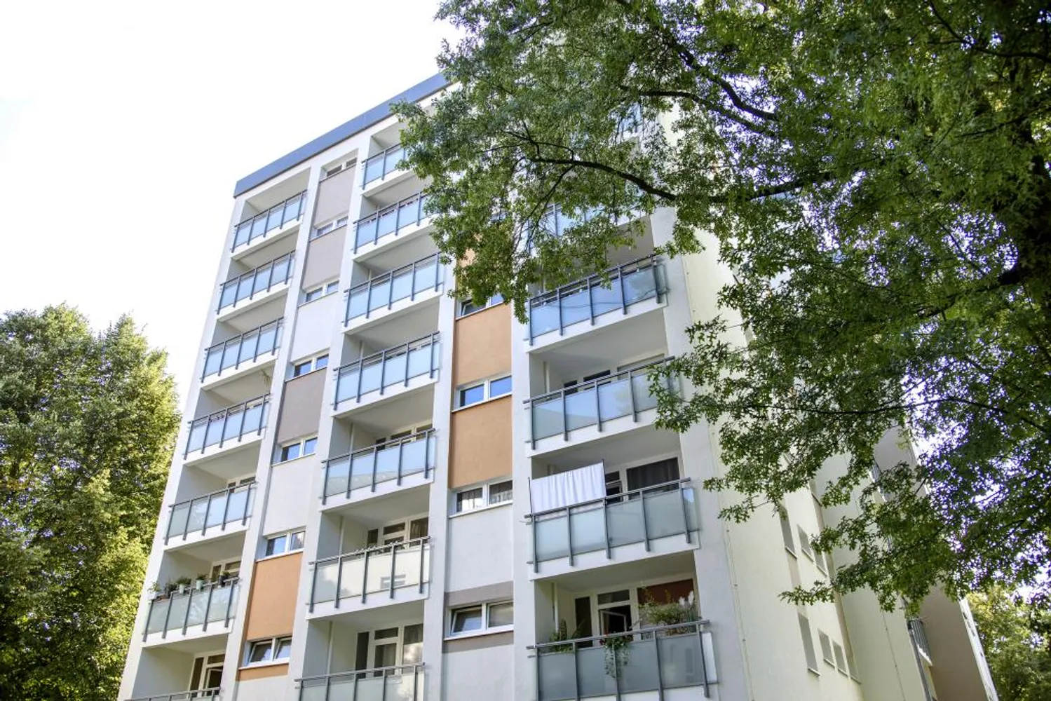 2 Zimmer Wohnung mit 44 m² in Dortmund – Bild 3