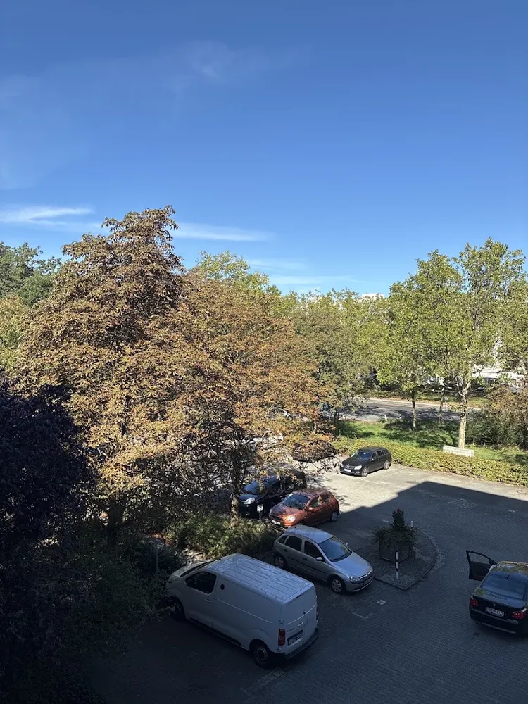 1 Zimmer Wohnung mit 31 m² in Berlin – Bild 2