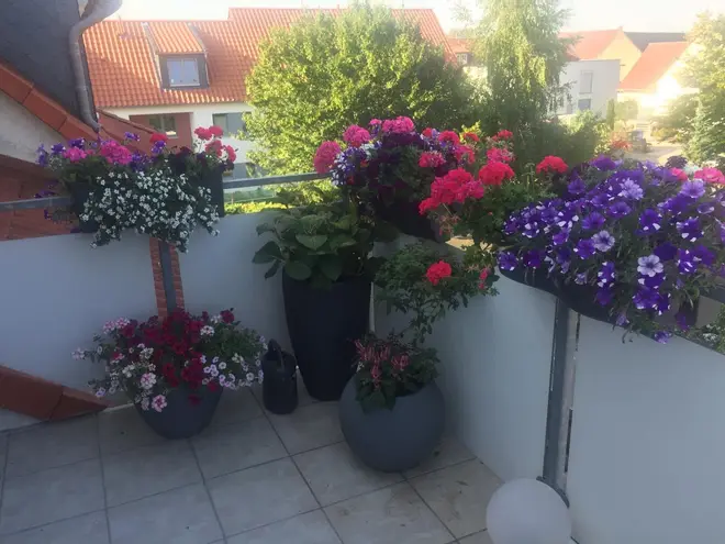 2 Zimmer Wohnung mit 50 m² in Braunschweig – Bild 10