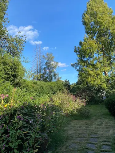 4 Zimmer Haus mit 120 m² in Hamburg – Bild 5
