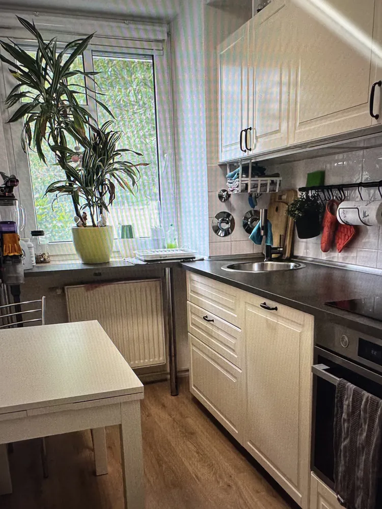 2 Zimmer Wohnung mit 63 m² in Dresden – Bild 1
