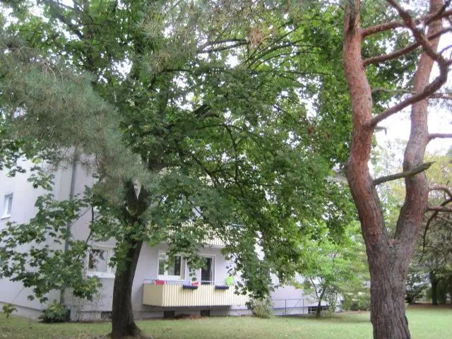 3 Zimmer Wohnung mit 70 m² in Bruchsal – Bild 4