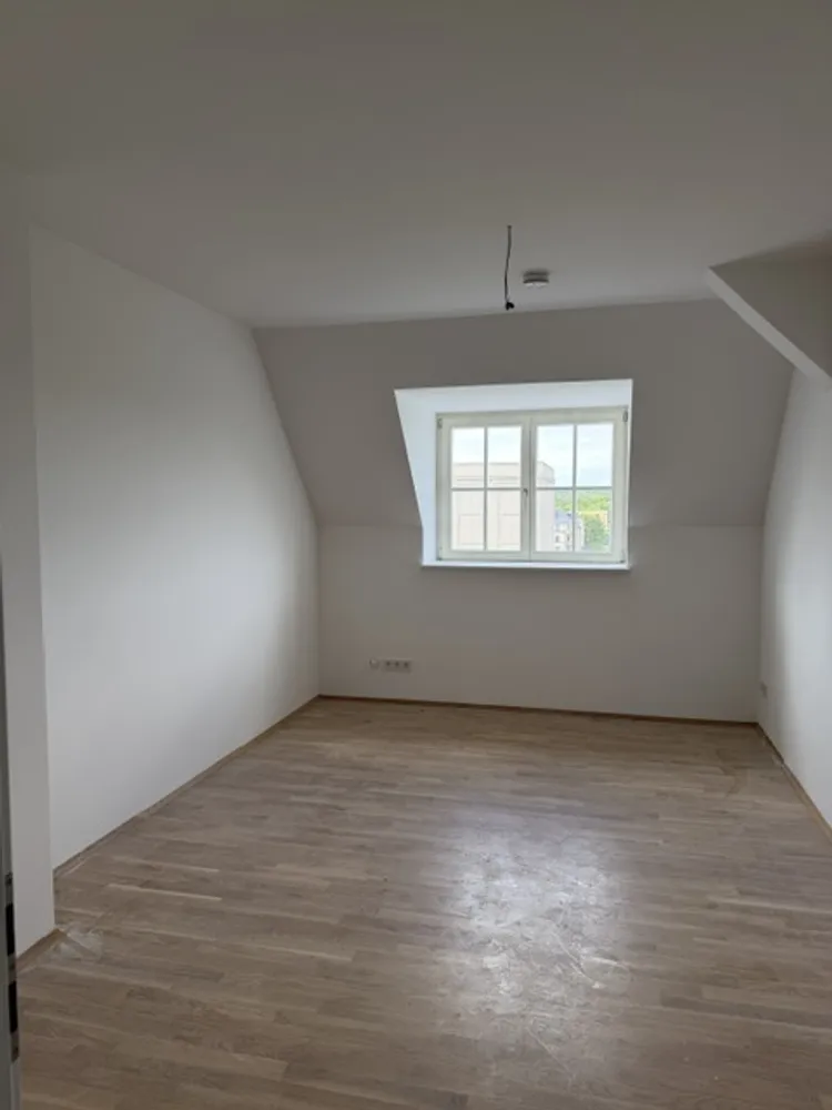 5 Zimmer Wohnung mit 121 m² in Chemnitz – Bild 3