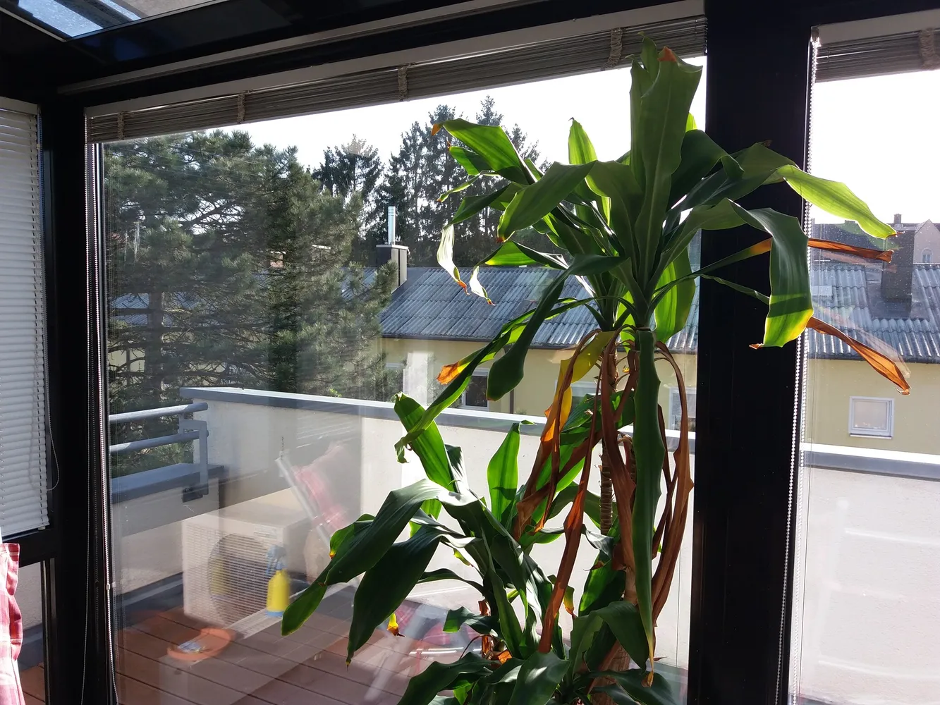 3 Zimmer Wohnung mit 86 m² in Neu-Ulm – Bild 9