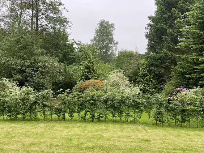 3 Zimmer Wohnung mit 90 m² in Hamburg – Bild 1