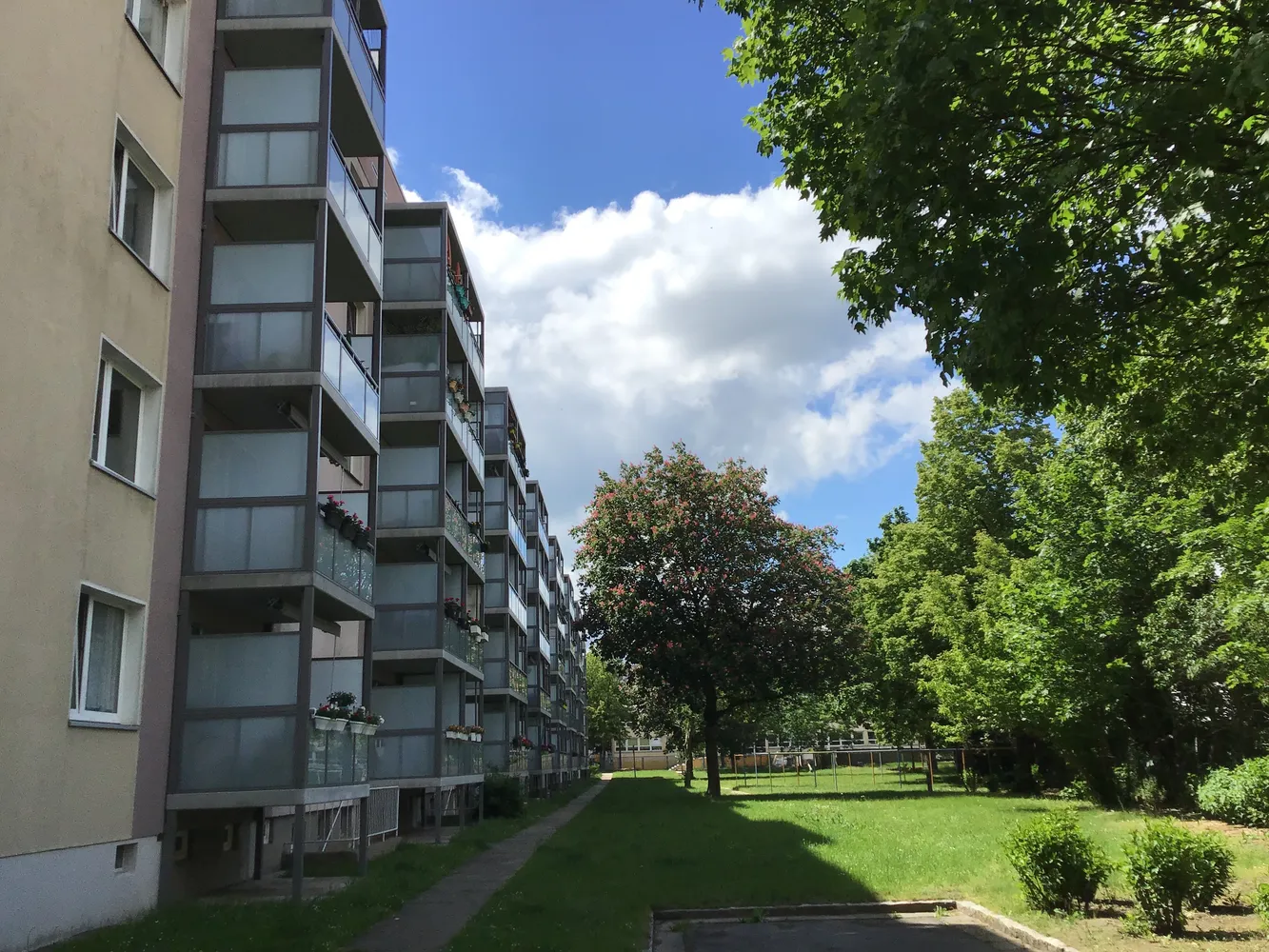 3 Zimmer Wohnung mit 72 m² in Dresden – Bild 1