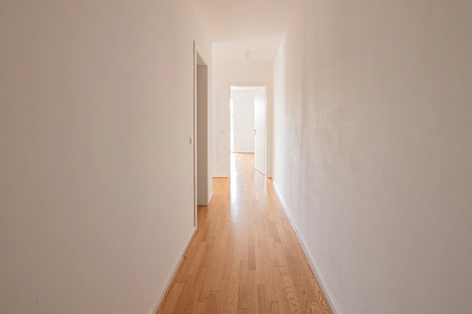 2 room apartment with 60 m² in Dresden – Photo 2