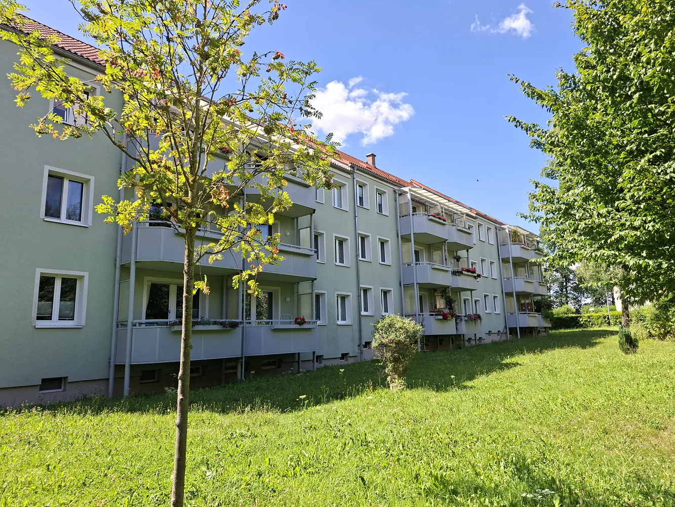 3 room apartment with 60 m² in Chemnitz – Photo 1