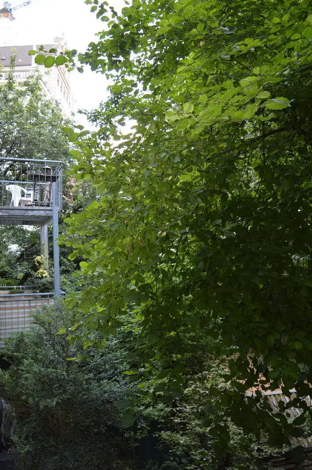 2 Zimmer Wohnung mit 66 m² in Augsburg – Bild 8