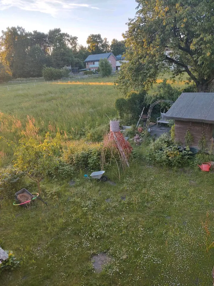 3 Zimmer Wohnung mit 30 m² in Bielefeld – Bild 3
