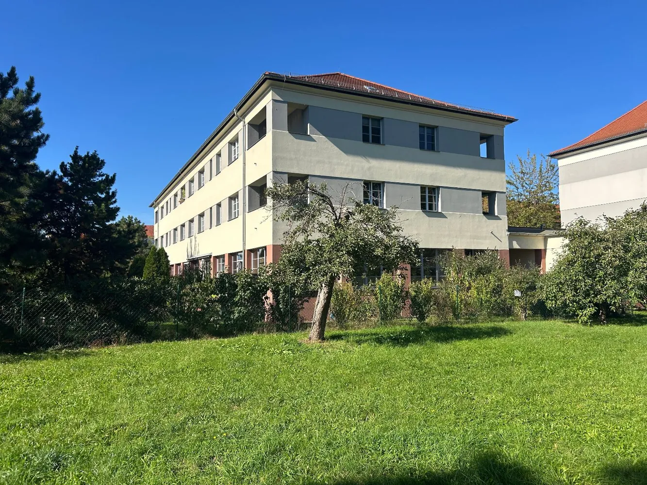 2 room apartment with 57 m² in Dresden – Photo 2