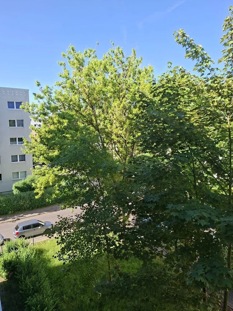 2 room apartment with 50 m² in Magdeburg – Photo 1