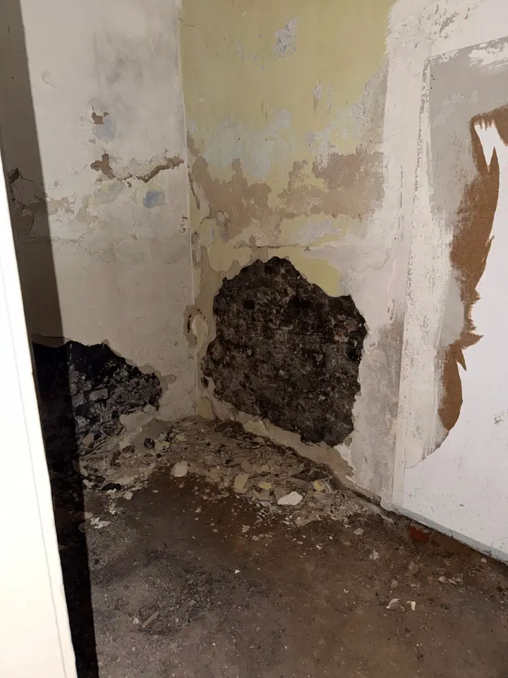 17 Zimmer Haus mit 316 m² in Limbach-Oberfrohna – Bild 6