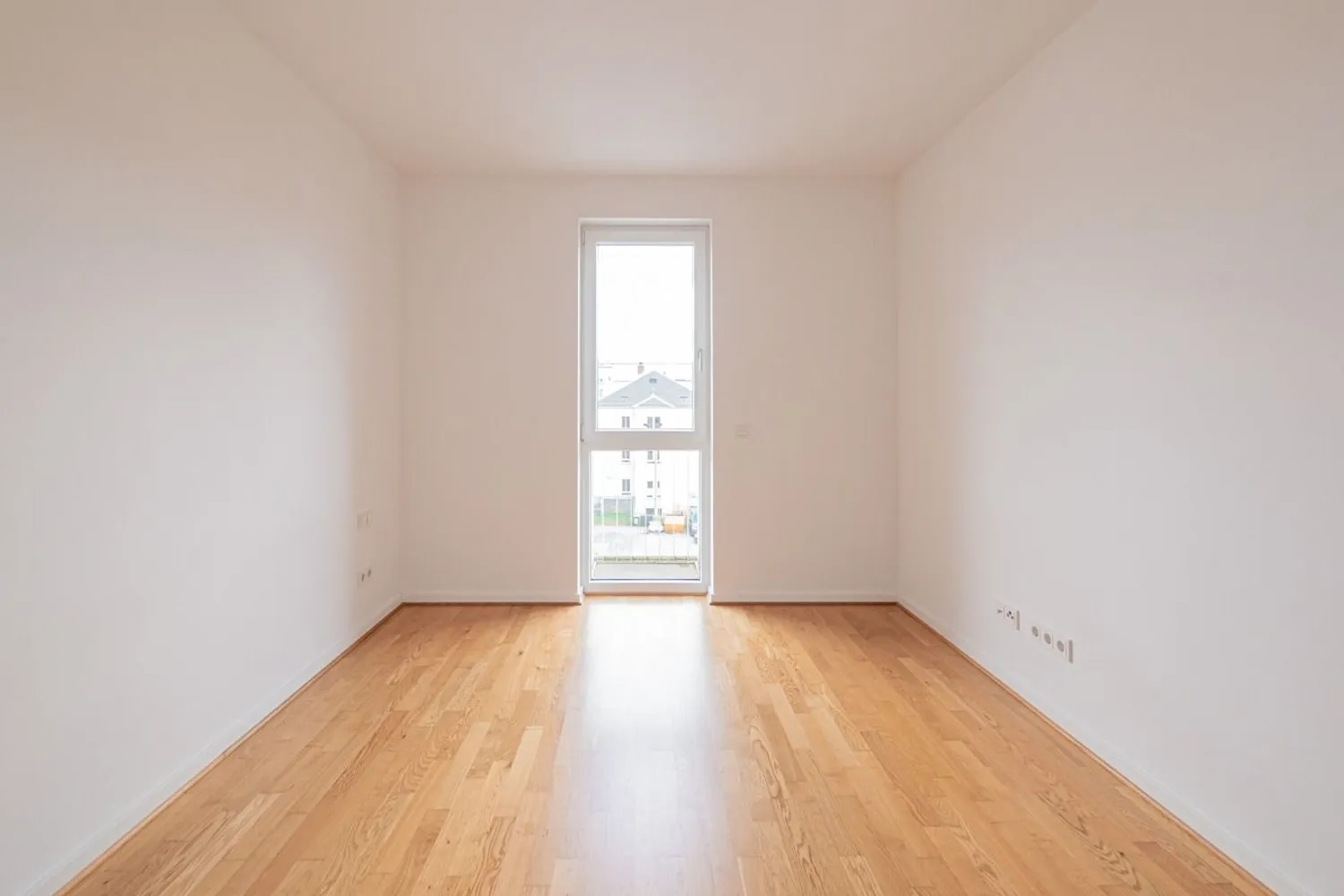 2 room apartment with 60 m² in Dresden – Photo 4