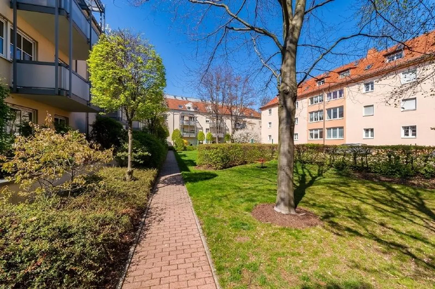 2 room apartment with 44 m² in Dresden – Photo 2