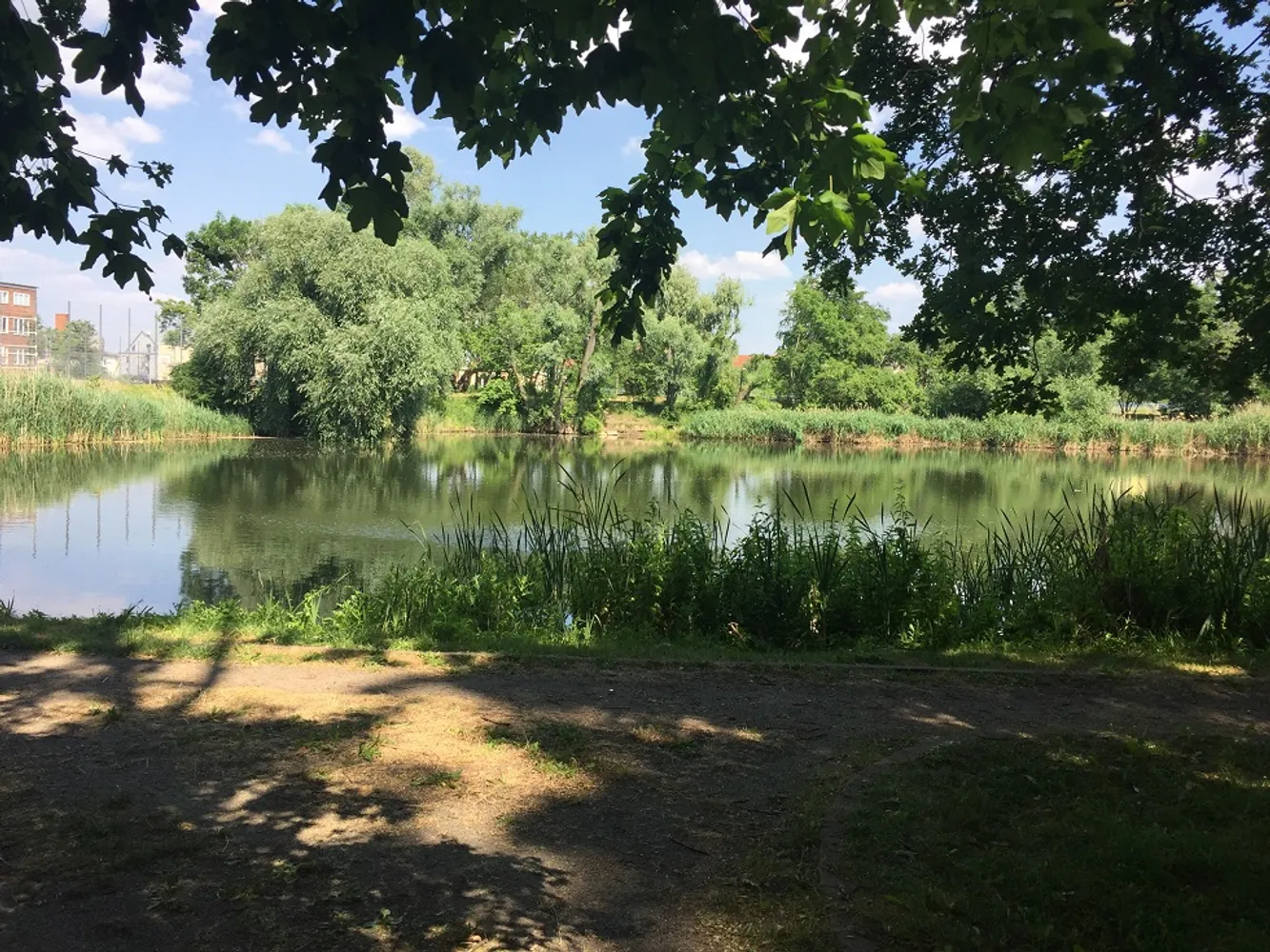 2 Zimmer Wohnung mit 51 m² in Frankfurt (Oder) – Bild 11