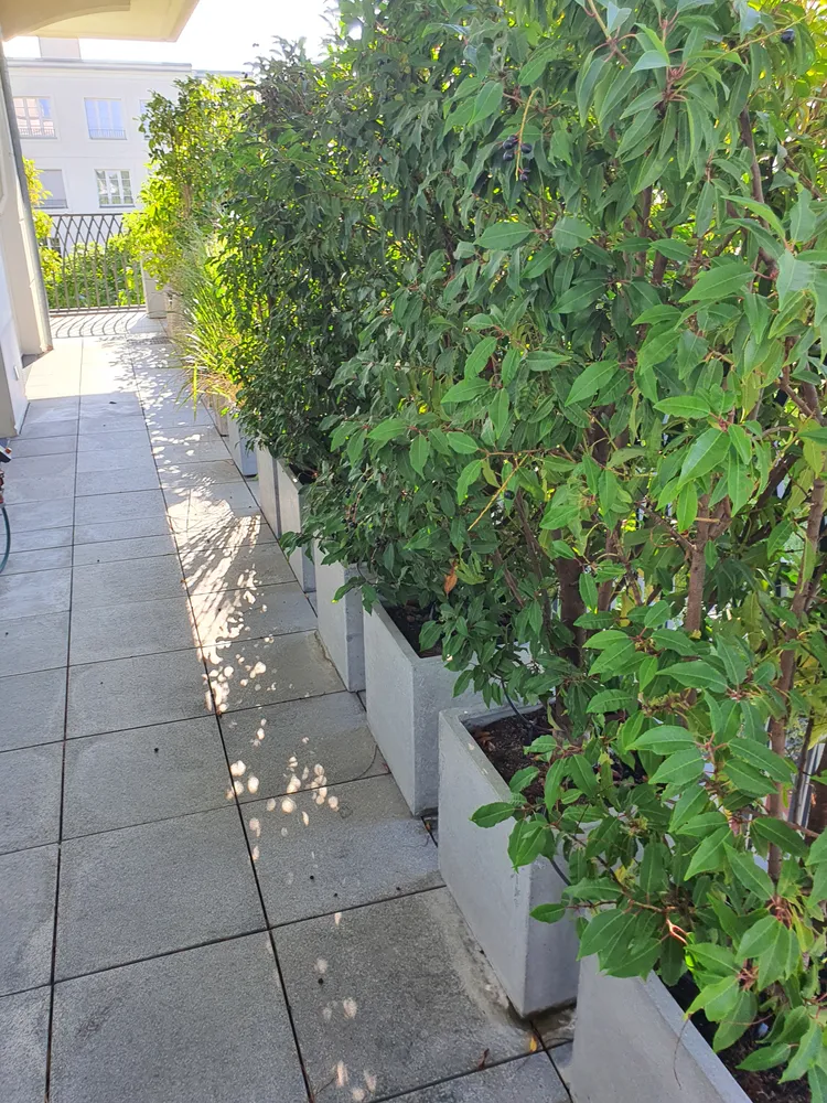 2 Zimmer Wohnung mit 95 m² in Düsseldorf – Bild 3