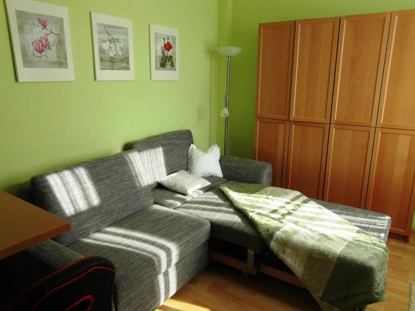 1 Zimmer Wohnung mit 20 m² in Dresden – Bild 3
