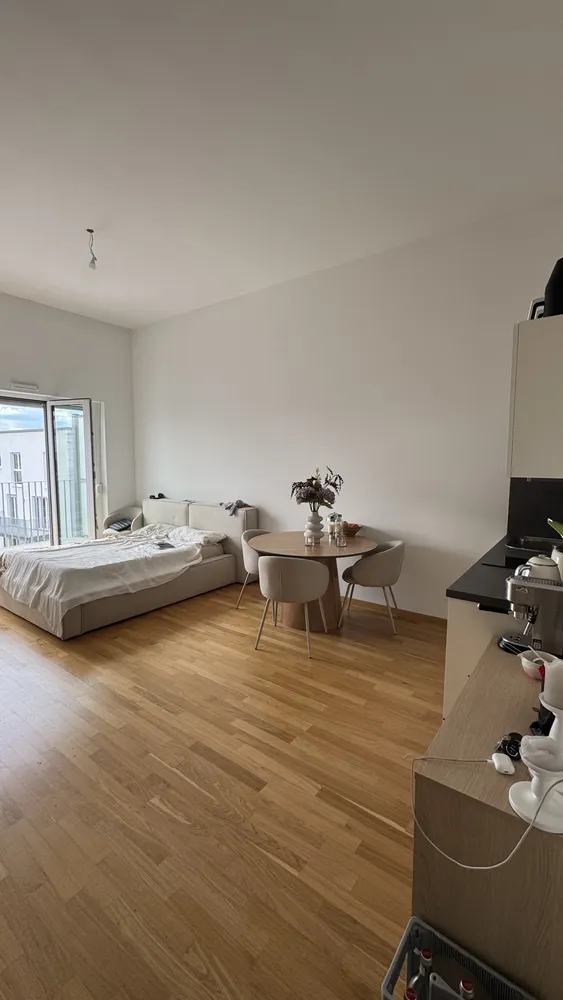 1 Zimmer Wohnung mit 39 m² in Frankfurt am Main – Bild 1