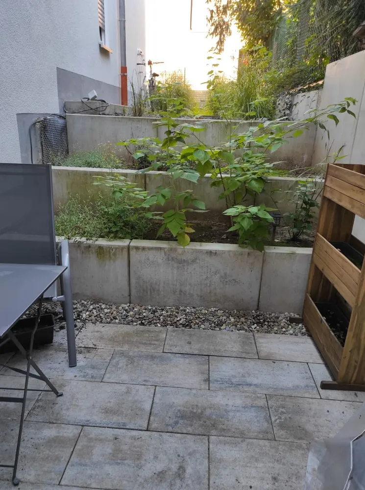 2 Zimmer Wohnung mit 41 m² in Darmstadt – Bild 10