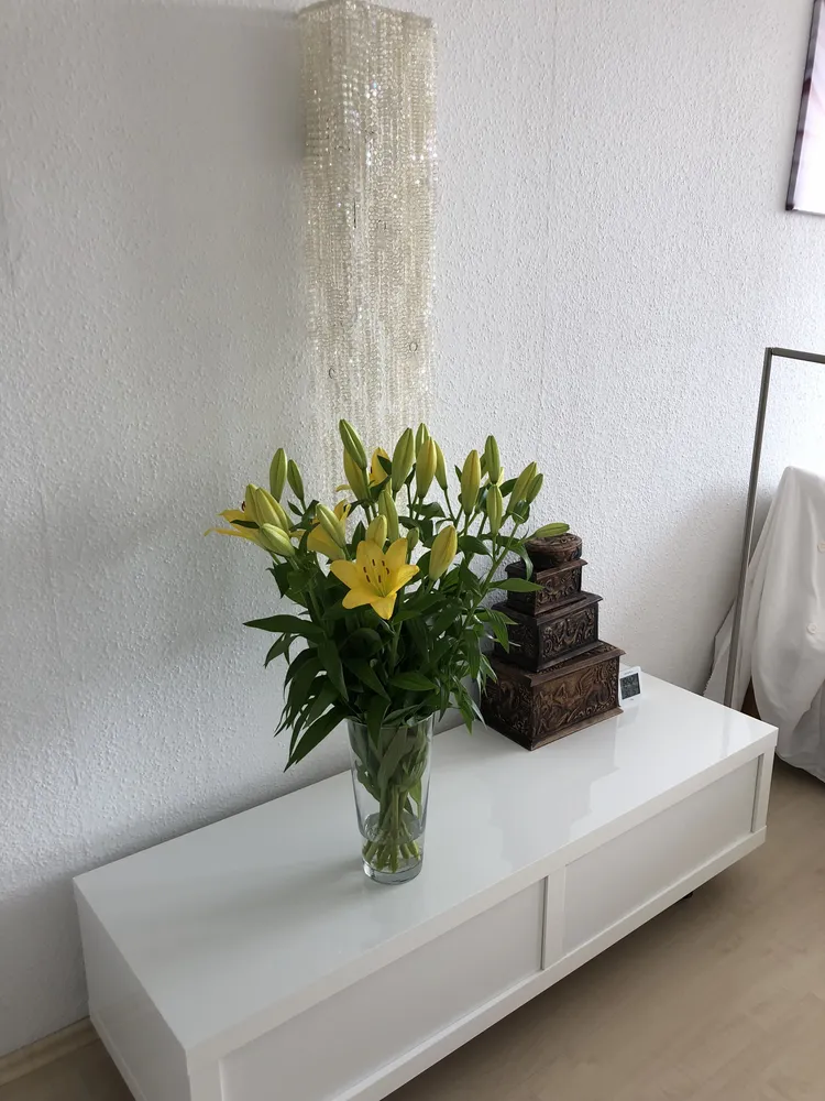 1 Zimmer Wohnung mit 27 m² in München – Bild 6