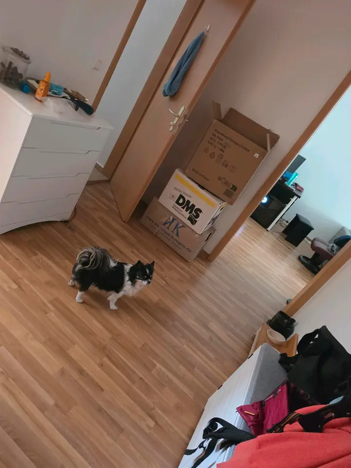 2 Zimmer Wohnung mit 53 m² in Hoyerswerda – Bild 6