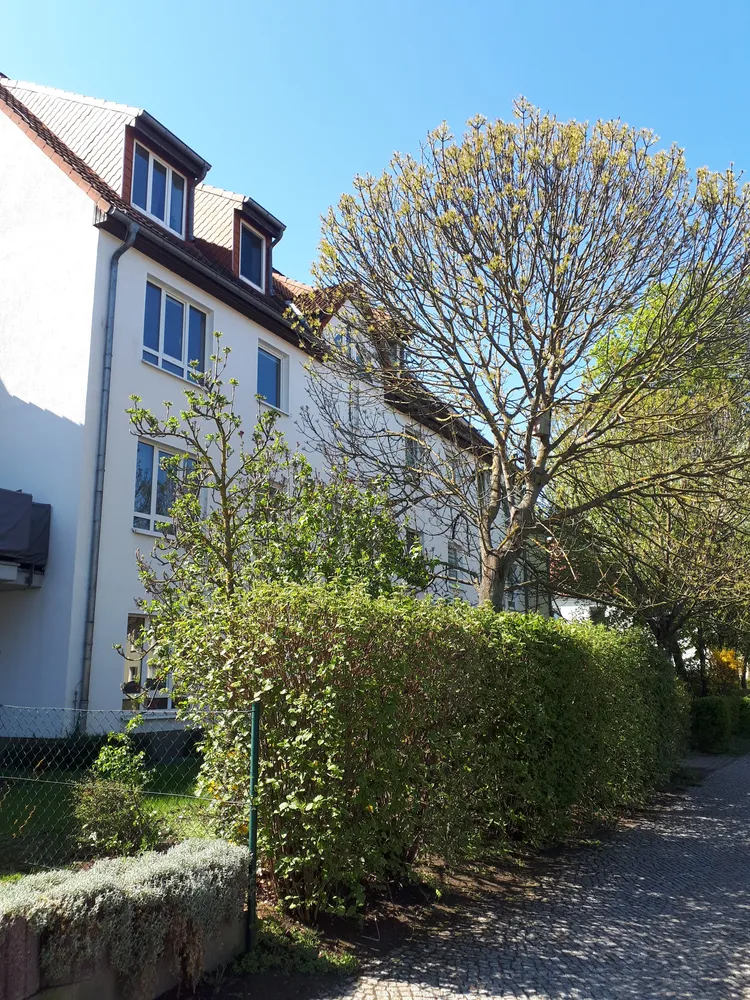 2 room apartment with 63 m² in Magdeburg – Photo 12