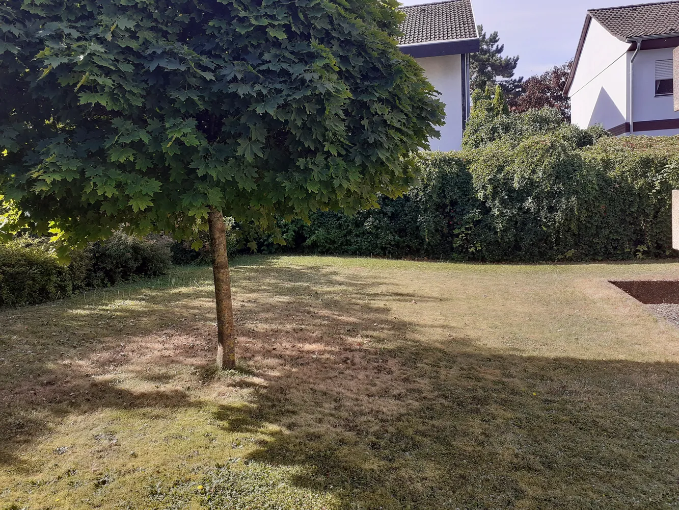 2 room apartment with 53 m² in Dreieich – Photo 1