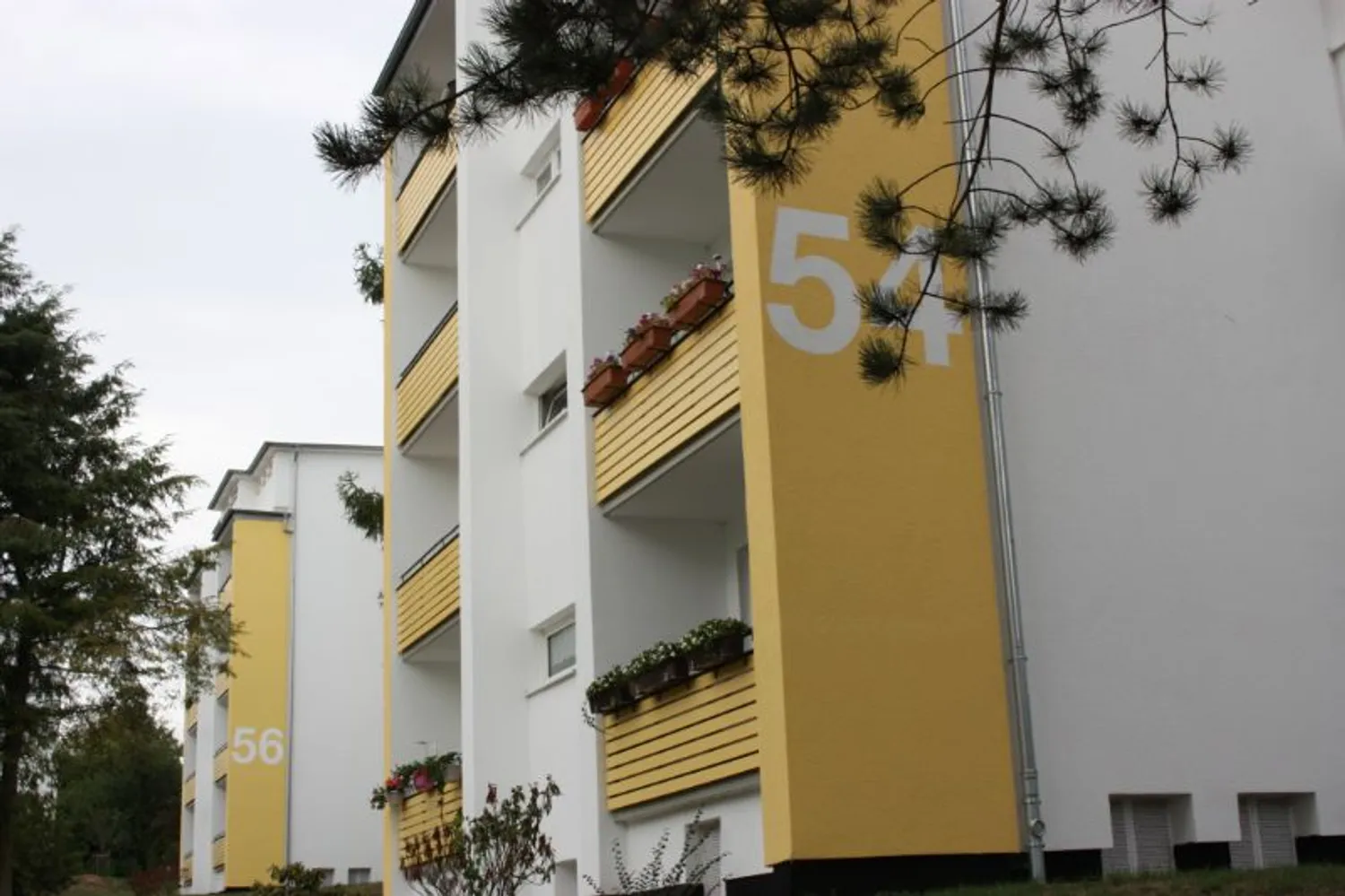 2 Zimmer Wohnung mit 44 m² in Kassel – Bild 1