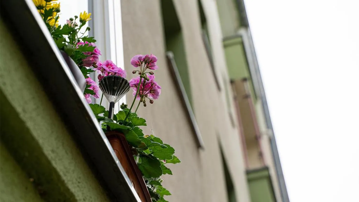 2 Zimmer Wohnung mit 50 m² in Leipzig – Bild 2