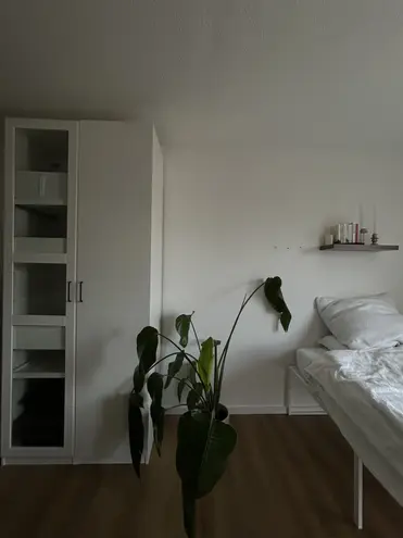 1 Zimmer Wohnung mit 31 m² in Bonn – Bild 2