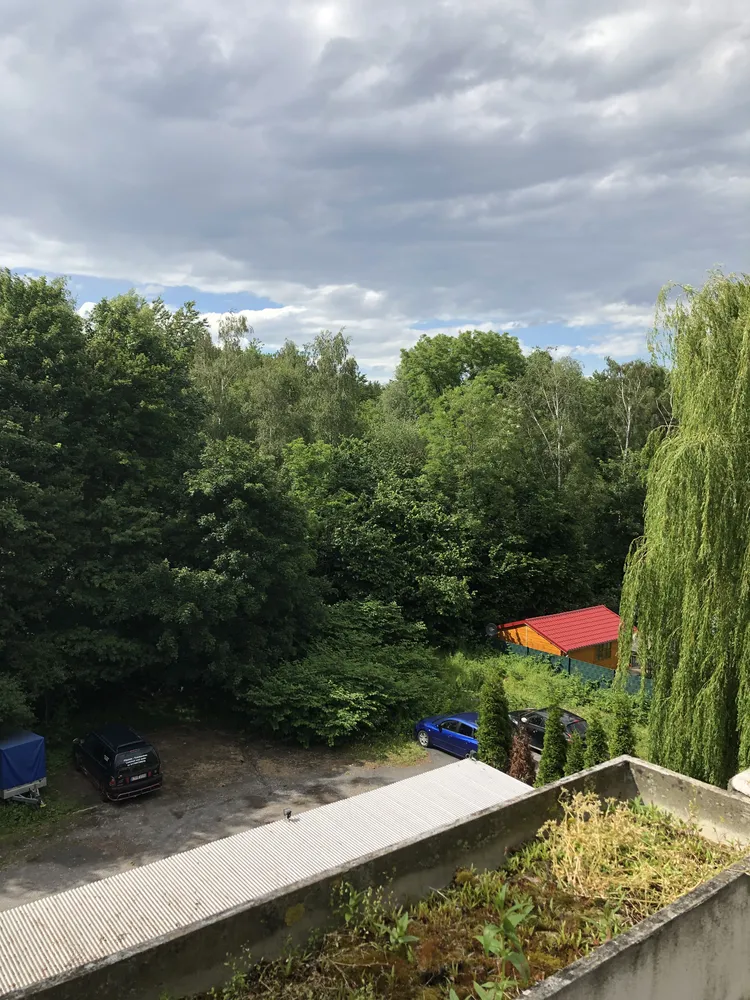 3 Zimmer Wohnung mit 66 m² in Essen – Bild 3