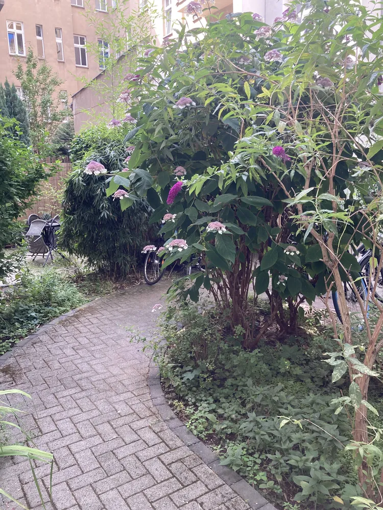2 Zimmer Wohnung mit 52 m² in Berlin – Bild 3
