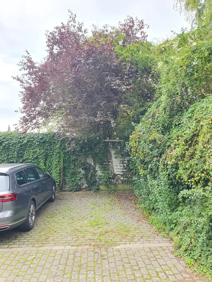 2 Zimmer Wohnung mit 63 m² in Wolfenbüttel – Bild 10